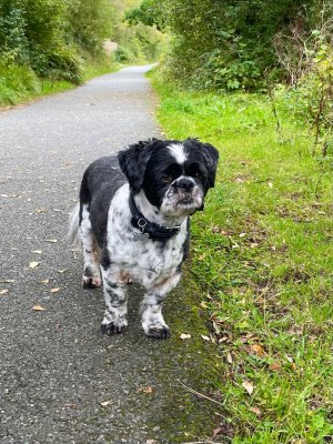 IMG_3178.jpeg IMG_3178.jpeg