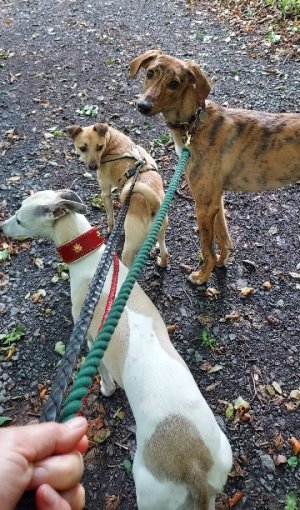 20230817_142905.jpg 20230817_142905.jpg