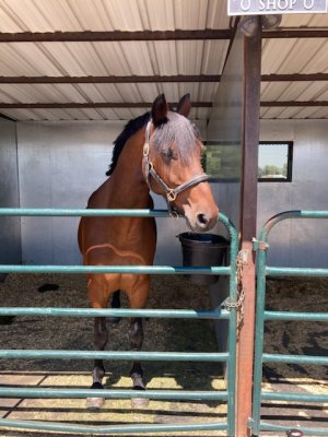 25AAA05E-D9A1-45C6-859E-4FA1A0959384.jpeg 25AAA05E-D9A1-45C6-859E-4FA1A0959384.jpeg