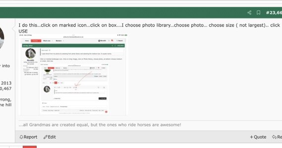 6EB8191F-A09E-4A25-98C6-EFA2BD845FD5.jpeg 6EB8191F-A09E-4A25-98C6-EFA2BD845FD5.jpeg