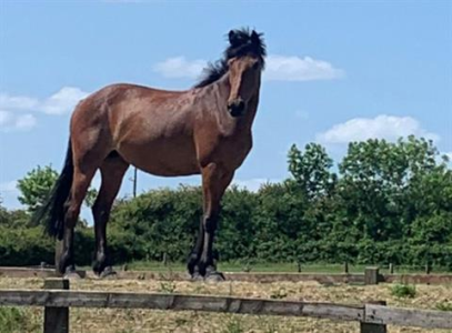 1692436064292.png 1692436064292.png