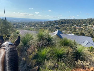 E83A3106-1423-4CE9-9FFE-029E9756C284.jpeg E83A3106-1423-4CE9-9FFE-029E9756C284.jpeg