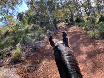 B6DCFDF0-BF30-4E4B-BB7A-44AFFBA355CD.jpeg B6DCFDF0-BF30-4E4B-BB7A-44AFFBA355CD.jpeg