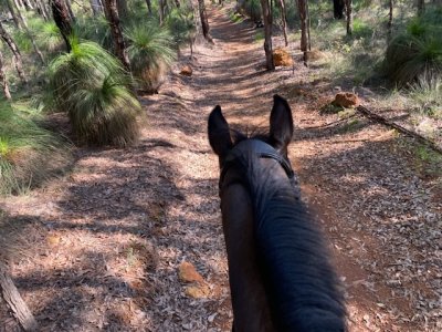 C83929A5-6FF1-4A66-8395-E0C6D0C1F723.jpeg C83929A5-6FF1-4A66-8395-E0C6D0C1F723.jpeg