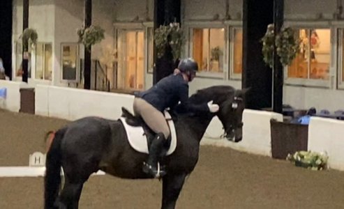 CDF04F74-1A68-4747-A762-4361D363C1D0.jpeg CDF04F74-1A68-4747-A762-4361D363C1D0.jpeg