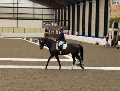 IMG_2167.jpeg IMG_2167.jpeg