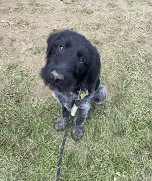 EC8BFC09-50F9-4598-9F50-D43C6F19DFA6.jpeg EC8BFC09-50F9-4598-9F50-D43C6F19DFA6.jpeg