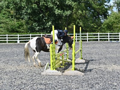 AB2_2931-(ZF-5918-82278-1-002).jpg AB2_2931-(ZF-5918-82278-1-002).jpg