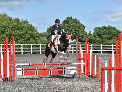 AB2_2933-(ZF-5918-82278-1-004).jpg AB2_2933-(ZF-5918-82278-1-004).jpg