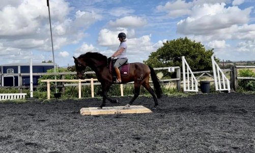 IMG_3544.jpg IMG_3544.jpg