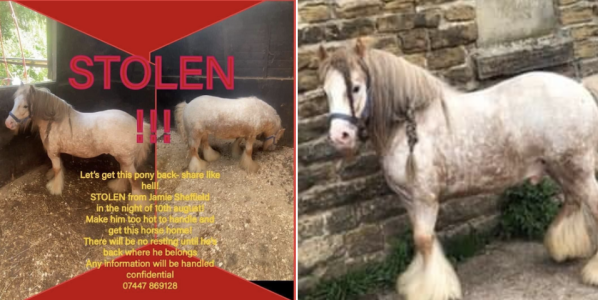 Screenshot 2023-08-21 at 15.33.24.png Screenshot 2023-08-21 at 15.33.24.png