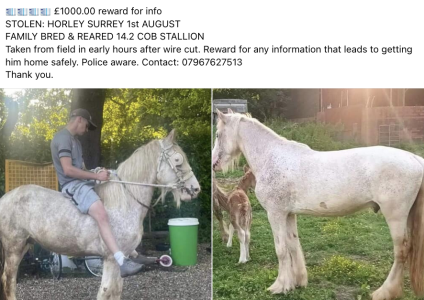 Screenshot 2023-08-21 at 15.34.47.png Screenshot 2023-08-21 at 15.34.47.png