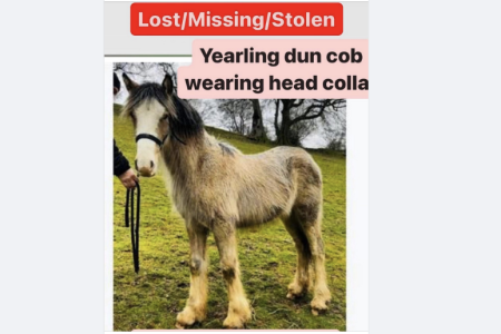 Screenshot 2023-08-21 at 15.36.21.png Screenshot 2023-08-21 at 15.36.21.png