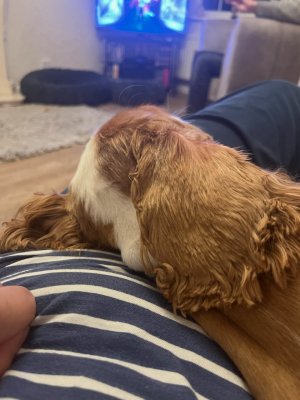 8A5F967A-89BC-4D43-B6D2-62A0EB398841.jpeg 8A5F967A-89BC-4D43-B6D2-62A0EB398841.jpeg