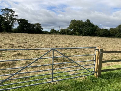 IMG_1714.jpeg IMG_1714.jpeg