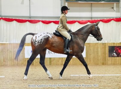 B74F2A2A-6B74-40DA-B35A-3A022D574DEB.jpeg B74F2A2A-6B74-40DA-B35A-3A022D574DEB.jpeg