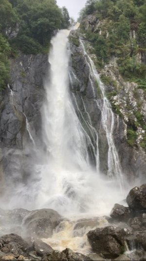 IMG_5176.jpg IMG_5176.jpg