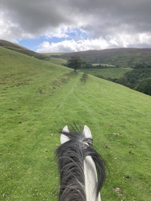 IMG_5149.jpeg IMG_5149.jpeg