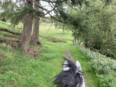 IMG_5153.jpeg IMG_5153.jpeg