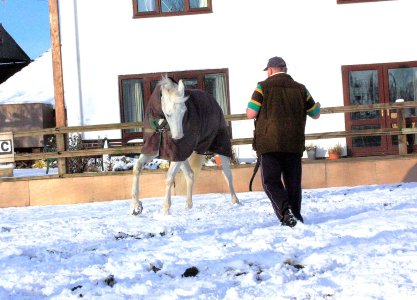 29.11.10 C & david.jpg 29.11.10 C & david.jpg