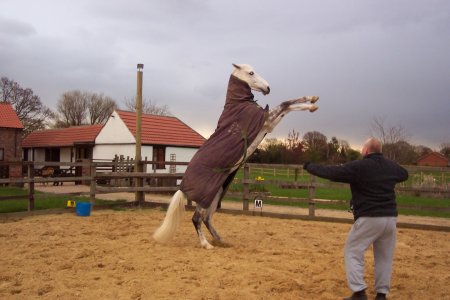 100_0130.JPG 100_0130.JPG