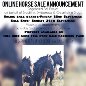 FB_IMG_1692964299415.jpg FB_IMG_1692964299415.jpg