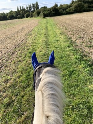 IMG_2450.jpeg IMG_2450.jpeg