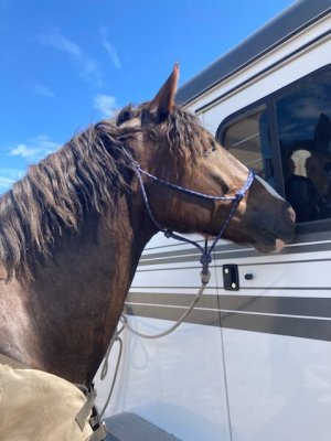 B138D9C4-A6C8-4EF3-92CD-FC92F0A4EA4C.jpeg B138D9C4-A6C8-4EF3-92CD-FC92F0A4EA4C.jpeg