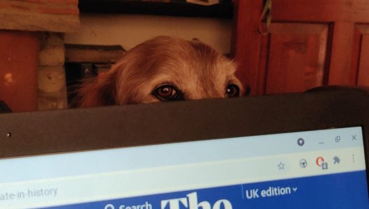 176193235_10160589944935730_5757081264438275212_n.jpg 176193235_10160589944935730_5757081264438275212_n.jpg