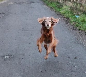 133500584_10160244048730730_6904052923700404138_n.jpg 133500584_10160244048730730_6904052923700404138_n.jpg