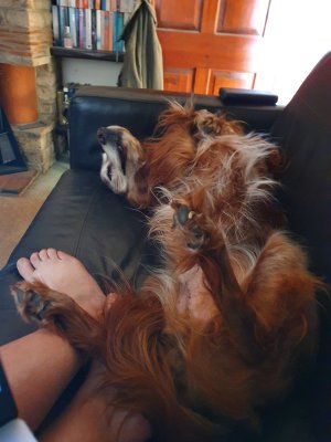 291729667_10161522729890730_8880019897751179936_n.jpg 291729667_10161522729890730_8880019897751179936_n.jpg