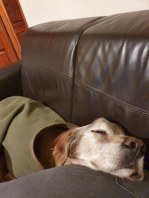 314417698_10161788352960730_3276917473821594415_n.jpg 314417698_10161788352960730_3276917473821594415_n.jpg