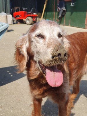 351016558_550359717065494_5506645146135356461_n.jpg 351016558_550359717065494_5506645146135356461_n.jpg