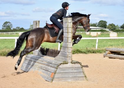 444A7986-A668-4072-A013-A9691B2504BF.jpeg 444A7986-A668-4072-A013-A9691B2504BF.jpeg