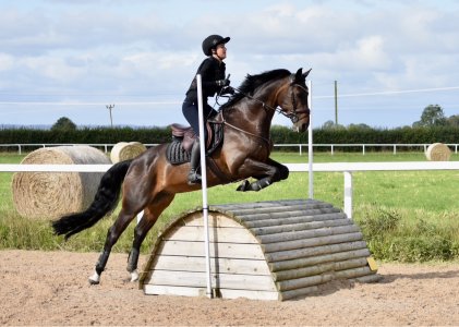 74376FBD-BD18-4B36-9338-5BF8491C3180.jpeg 74376FBD-BD18-4B36-9338-5BF8491C3180.jpeg