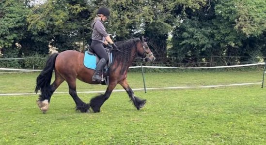 FB_IMG_1693251977666.jpg FB_IMG_1693251977666.jpg