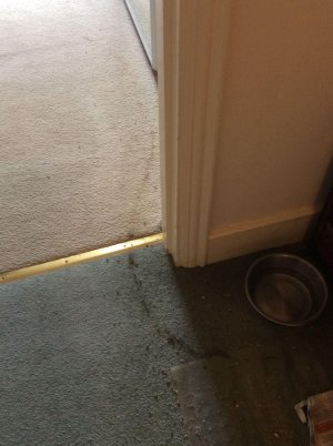 IMG_1388.jpeg IMG_1388.jpeg