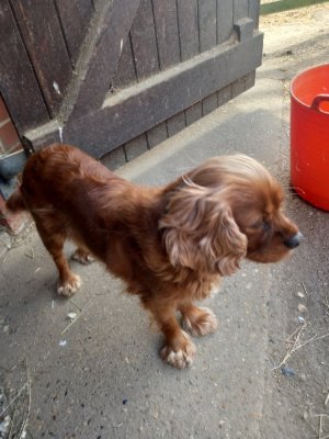 20230819_103600_resize_1.jpg 20230819_103600_resize_1.jpg