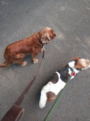 20230828_165621_resize_73.jpg 20230828_165621_resize_73.jpg