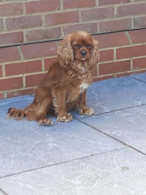 20230821_133238_resize_53.jpg 20230821_133238_resize_53.jpg