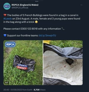 8B91F301-1B3E-4C46-80DE-87EAA7F17956.jpeg 8B91F301-1B3E-4C46-80DE-87EAA7F17956.jpeg