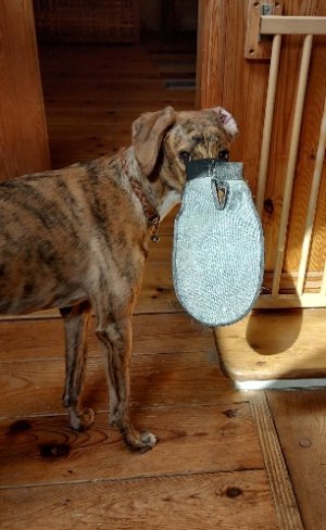 Tiggy II - 02-09-23.jpg