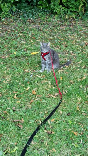 46C46CAE-0DF7-45AC-976F-8F7D6CE07618.jpeg 46C46CAE-0DF7-45AC-976F-8F7D6CE07618.jpeg