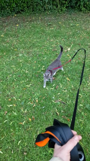 C3E00894-37C7-4277-BEA8-2A477D8AA7A0.jpeg C3E00894-37C7-4277-BEA8-2A477D8AA7A0.jpeg