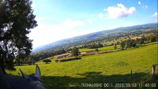 IMG_5343.jpg IMG_5343.jpg