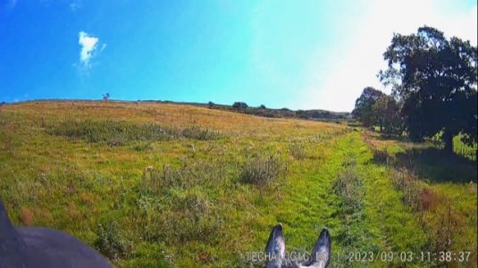 IMG_5344.jpg IMG_5344.jpg