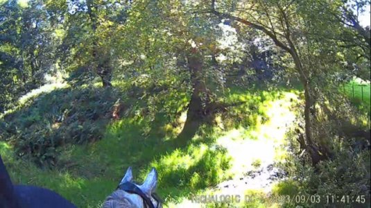 IMG_5345.jpg IMG_5345.jpg