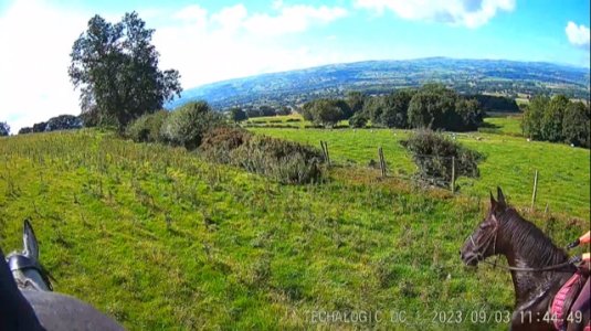 IMG_5346.jpg IMG_5346.jpg