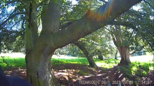 IMG_5347.jpg IMG_5347.jpg