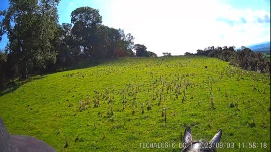 IMG_5348.jpg IMG_5348.jpg